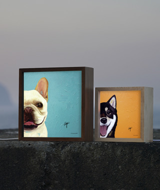 燈箱｜貓狗插畫｜JayWu｜一伴系列