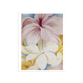 歐姬芙 Georgia O'Keeffe｜芙蓉雞蛋花 Hibiscus with Plumeria
