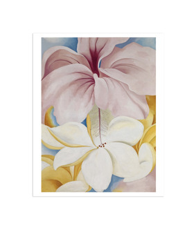 歐姬芙 Georgia O'Keeffe｜芙蓉雞蛋花 Hibiscus with Plumeria