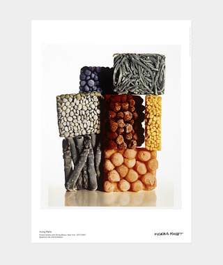 Irving Penn｜Frozen Foods with String Beans