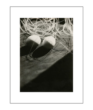 Iwao Yamawaki｜eggs and strings