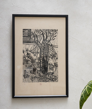 限量版畫｜沐冉Muran｜蔭下虎斑