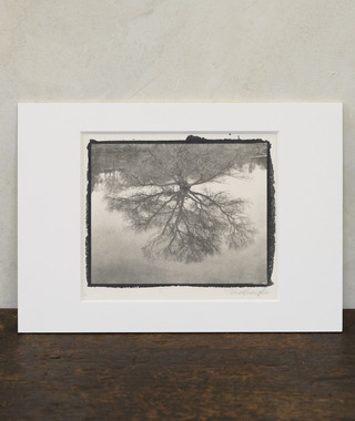 限量原作｜小林伸幸｜小宇宙 little universe