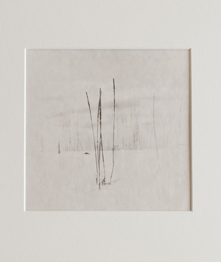 限量｜Kino Koike 小池貴之 | 雪上的枯草 #9