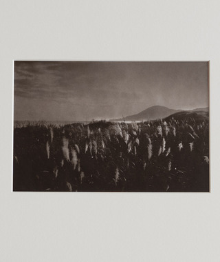 限量｜Kino Koike 小池貴之 | 海風的跡象 #5