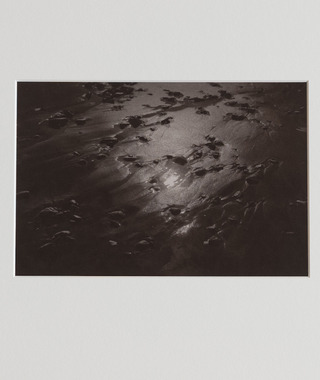 限量｜Kino Koike 小池貴之 | 砂與太陽 #6