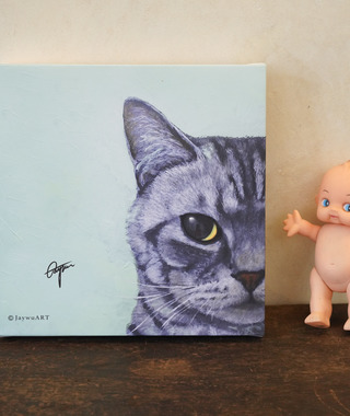 JayWu｜美國短毛貓