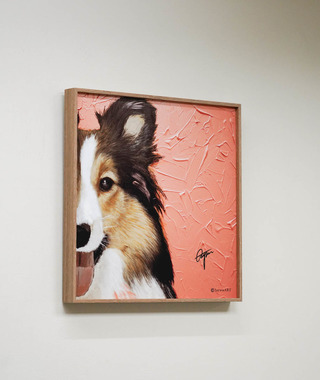 JayWu｜邊境牧羊犬