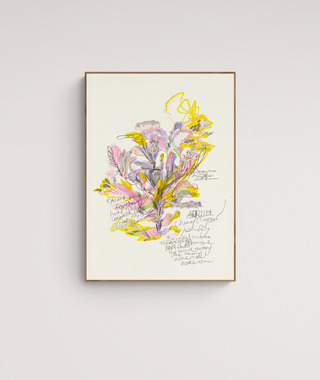 Febbi | Lingoooo 002花卉