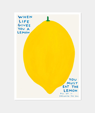 David Shrigley｜When Life Gives You A Lemon (當生活給你檸檬)