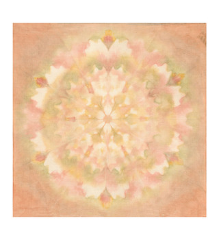 ཨོཾ 萬物生染｜寧靜の力量