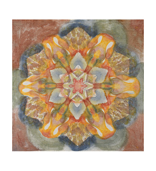 ཨོཾ 萬物生染｜筆筒樹