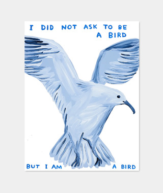 David Shrigley｜I Did Not Ask To Be a Bird (我沒有要求成為一隻鳥)