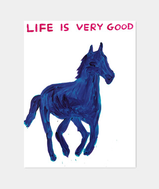 David Shrigley｜Life is Very Good (生活美好)