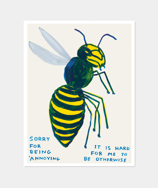 David Shrigley｜sorry for being annoying (對不起，我煩人了)