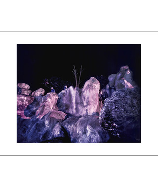 限量｜彭一航 Peng Yihang  | 猴子