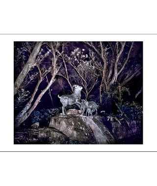 限量｜彭一航 Peng Yihang | 碧山巖羊