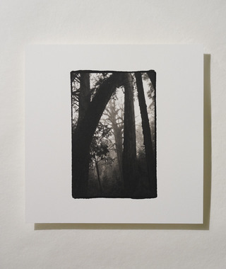 原作｜吳文波｜鉑金印相｜Tree Elves 05