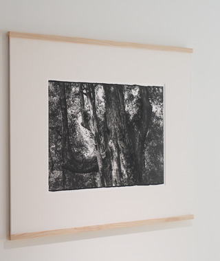 	原作｜吳文波｜鉑金印相｜Tree Elves 20 #2