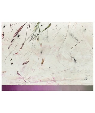 Hubert Scheibl｜Steps of Evolution (演化的步驟)