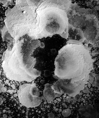 當代攝影｜侯純純｜境隨心轉 No. 4