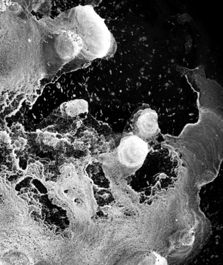 當代攝影｜侯純純｜境隨心轉 No. 3