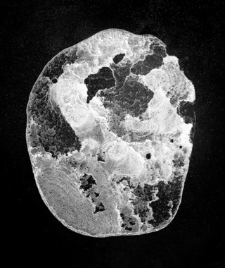 當代攝影｜侯純純｜境隨心轉 No. 1