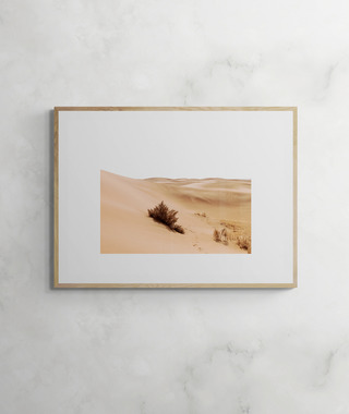 吳金燦 Leo Wu｜011 沙之體