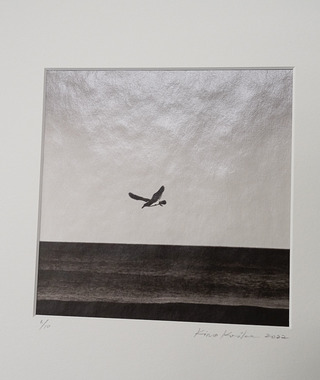 限量｜Kino Koike 小池貴之 | 飛翔 #8