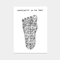 限量｜David Shrigley｜complexity of the foot (複雜的腳)