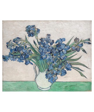 梵谷 Van Gogh｜Irises