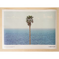 John Baldessari ｜ Palm tree/seascape_5