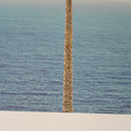 John Baldessari ｜ Palm tree/seascape_6
