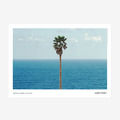 John Baldessari ｜ Palm tree/seascape