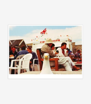 Martin Parr｜West Bay