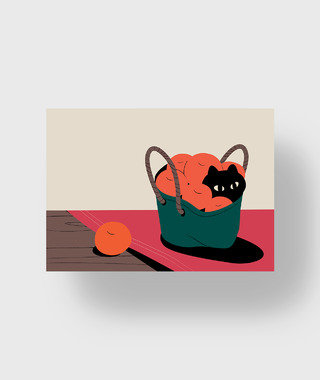 Erdy | 籃子裡的黑貓