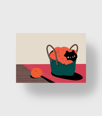 Erdy | 籃子裡的黑貓