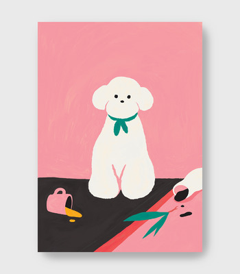 Erdy | Bichon (比熊犬)