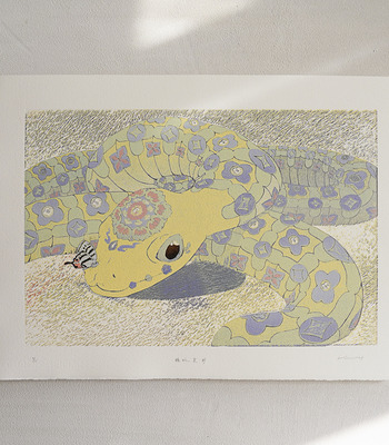 原作版畫｜王文伶｜騰蛇冀盼