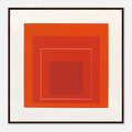 Homage to the Square(Amber Vibration) | Josef Albers