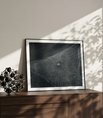 Vija Celmins | Web #1, 1999