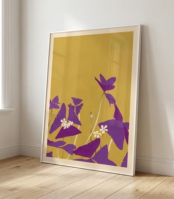 張梓鈞｜紫葉酢漿草 | 極簡花卉掛畫