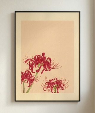 張梓鈞｜彼岸花 | 極簡花卉掛畫