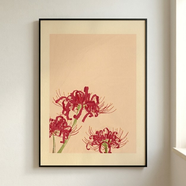 張梓鈞｜彼岸花 | 極簡花卉掛畫