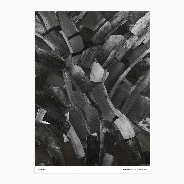 Lee Bae - Issu du Feu F04, 2003