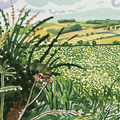 David Hockney｜A Gap in the Hedgerow (from Midsummer: East Yorkshire)_1