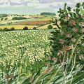 David Hockney｜A Gap in the Hedgerow (from Midsummer: East Yorkshire)_2