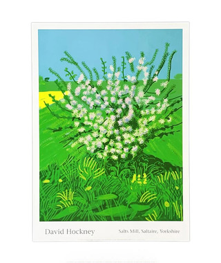 David Hockney｜Iris with Evian Bottle