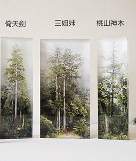 theTreePorjects｜台灣巨木 - 森林紙鎮