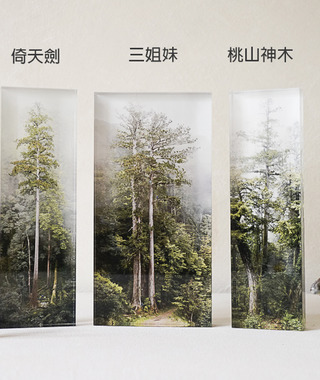 theTreePorjects｜台灣巨木 - 森林紙鎮